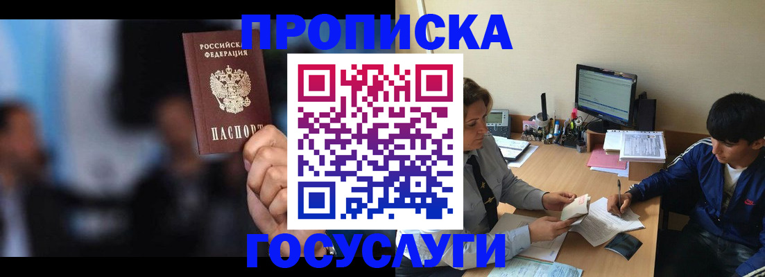 временная регистрация госуслуги в Никольском